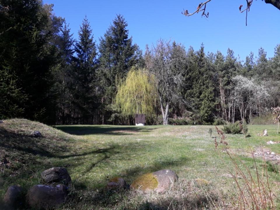 Holiday home Lesna Polana