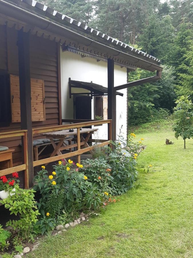Lesna Polana